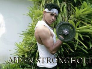 AIDEN_STRONGHOLD