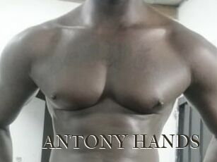 ANTONY_HANDS