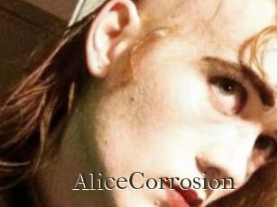 AliceCorrosion