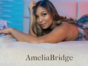 AmeliaBridge