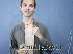 AmiableDavid