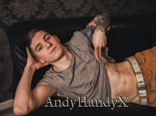 AndyHandyX