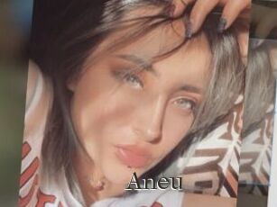 Aneu