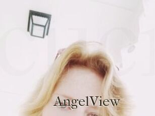 AngelView