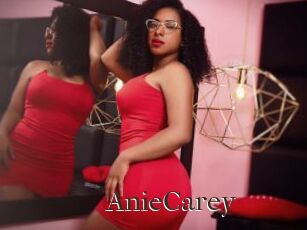 AnieCarey