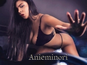 Anieminori