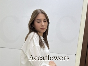 Accaflowers