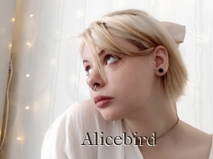 Alicebird