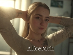 Alicerach