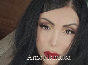 Amaylamusa