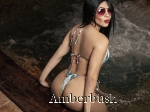 amberbush Cum crazy amateurs