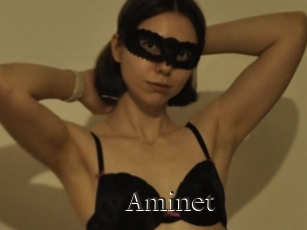 Aminet