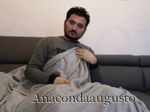 Anacondaaugusto