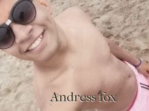 Andress_fox