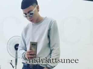 Andykittsunee