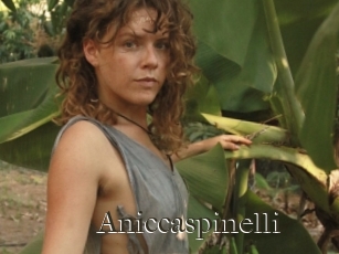 Aniccaspinelli