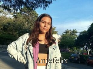 Aniefelix