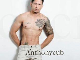 Anthonycub