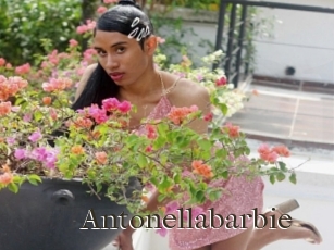 Antonellabarbie