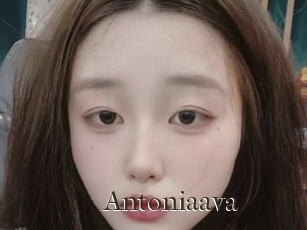 Antoniaava