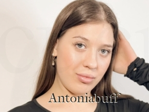 Antoniabuff