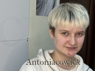 Antoniacowick