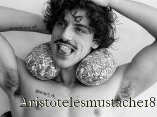 Aristotelesmustache18