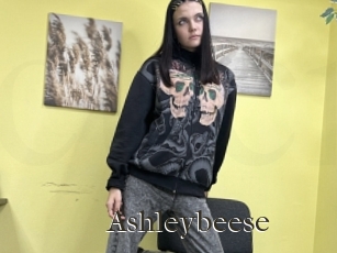 Ashleybeese