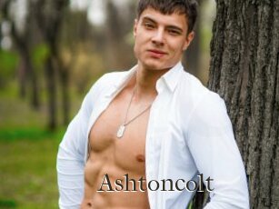 Ashtoncolt