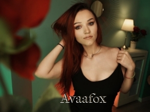 Avaafox