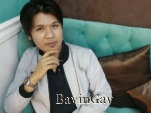 BavinGav
