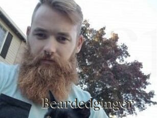 Beardedginger