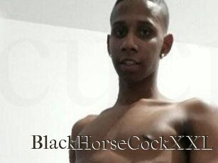 BlackHorseCockXXL