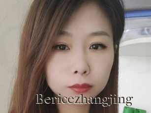 Bericezhangjing