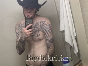 bigdickrick23 Cum crazy amateurs