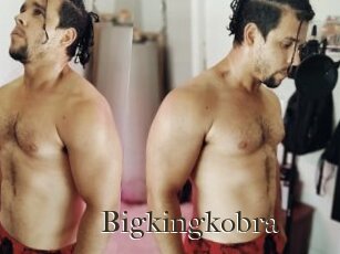 Bigkingkobra