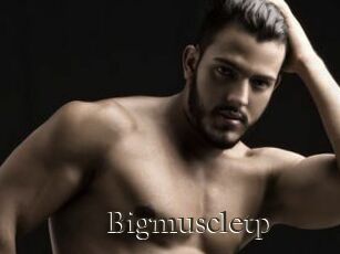 Bigmuscletp