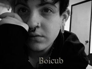 Boicub