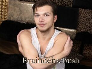Braindensebush