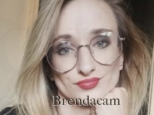 Brendacam