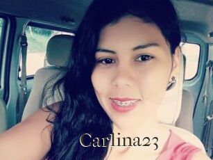 Carlina23