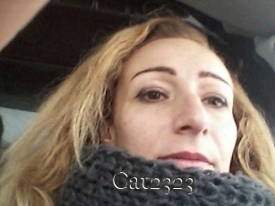 Cat2323