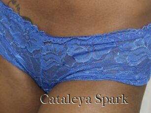 Cataleya_Spark