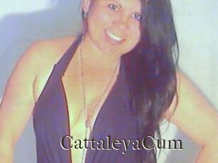 CattaleyaCum