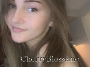 CherryBlossom0