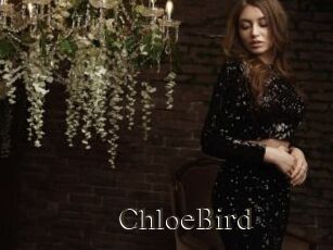 ChloeBird