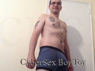 CyberSex_BoyToy
