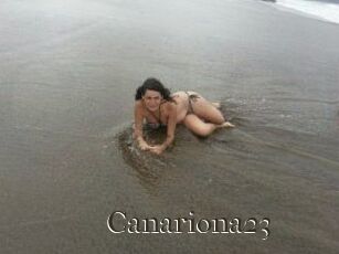 Canariona23