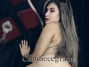 candiecegrants Cum crazy amateurs