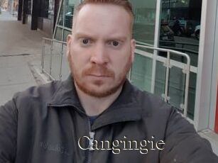 Cangingie